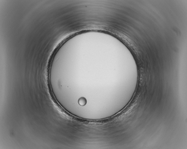 X0000110910942200907091433