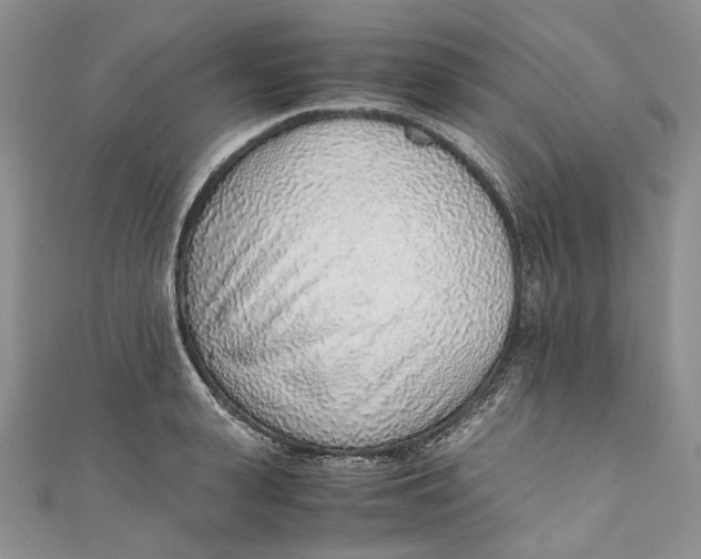 X0000110910943200907091433