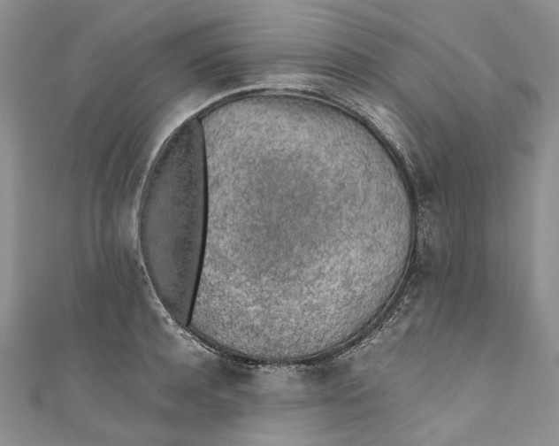 X0000110910944200907091433