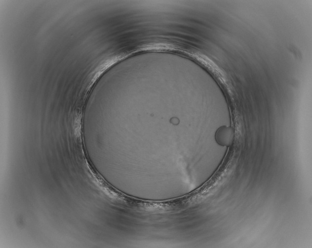 X0000110910945200907091433