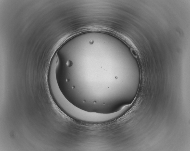 X0000110910946200907091433