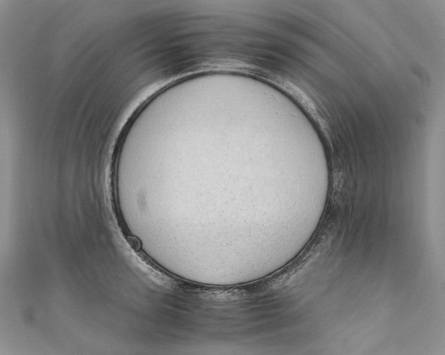 X0000110910947200907091433