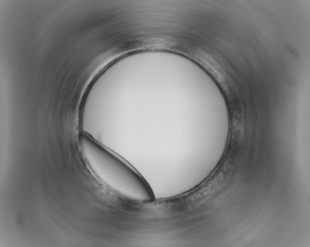 X0000110910948200907091433