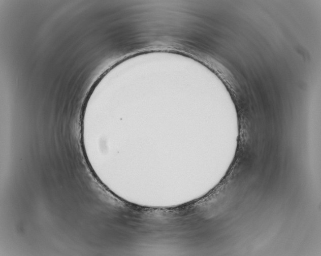 X0000110910950200907091433