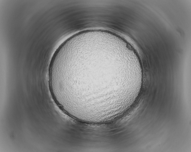 X0000110910951200907091433