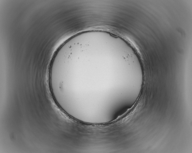 X0000110910952200907091433