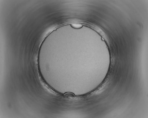 X0000110910954200907091434