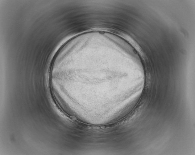 X0000110910955200907091434