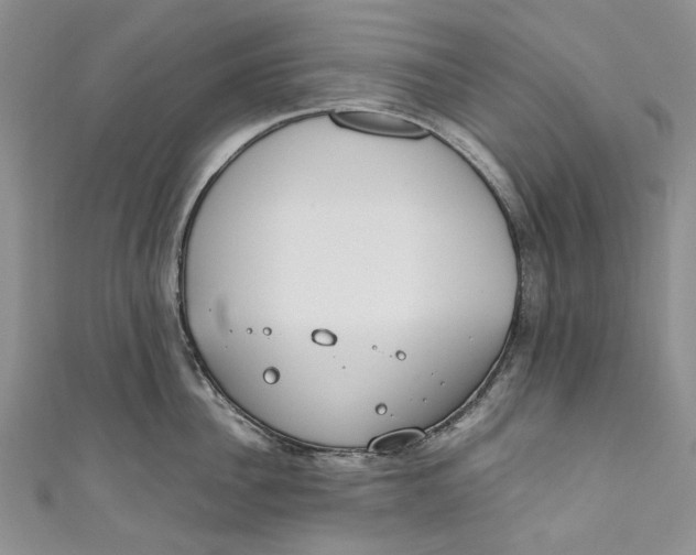 X0000110910956200907091434