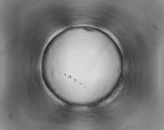 X0000110910957200907091434