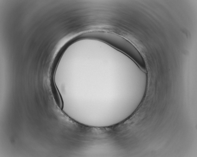 X0000110910960200907091434