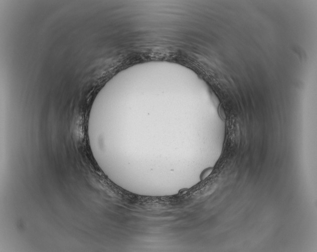 X0000110910962200907091433