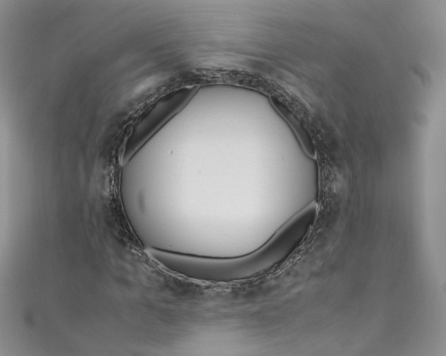 X0000110910965200907091433