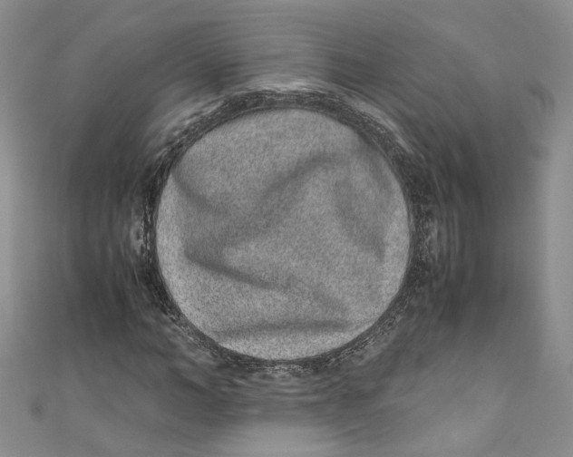 X0000110910966200907091433