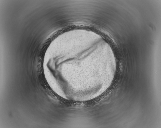 X0000110910968200907091433