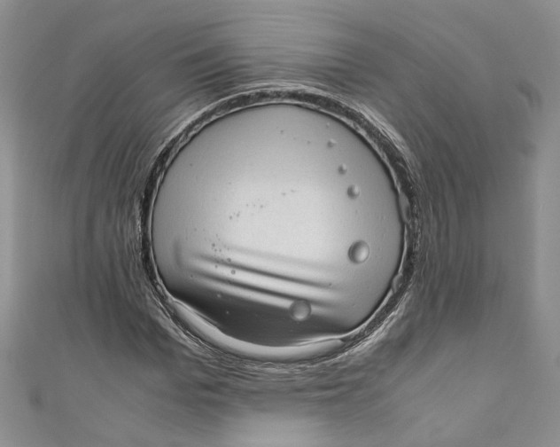 X0000110910969200907091433