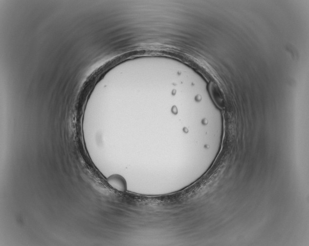 X0000110910971200907091433