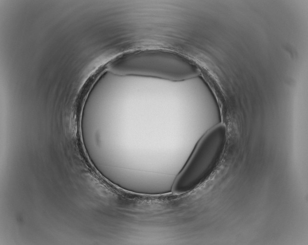 X0000110910973200907091433