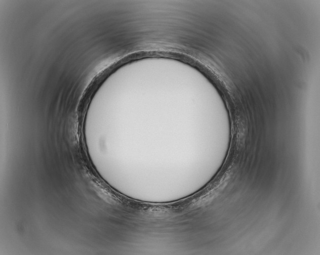 X0000110910974200907091433