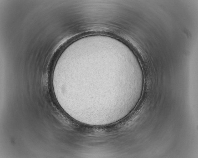 X0000110910975200907091433