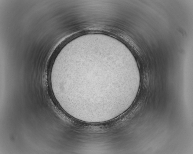 X0000110910976200907091433