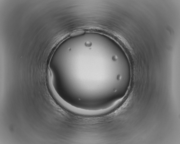 X0000110910977200907091433