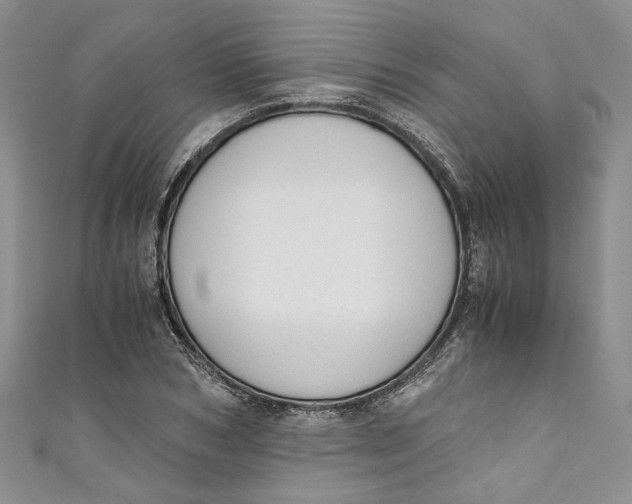 X0000110910978200907091433