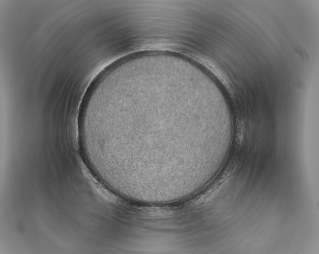 X0000110910980200907091433