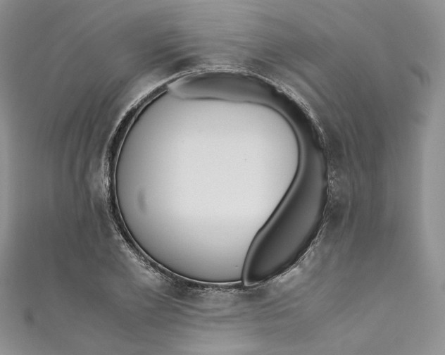 X0000110910981200907091433