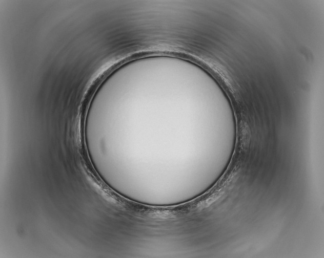 X0000110910982200907091433