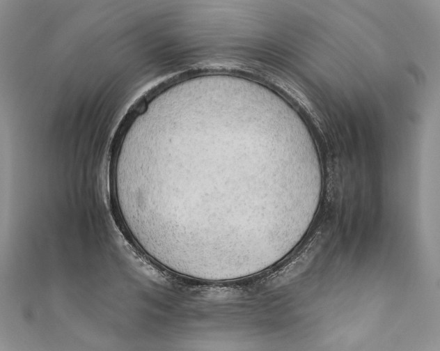 X0000110910984200907091433