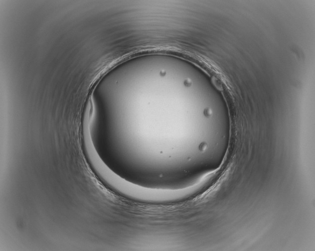 X0000110910985200907091433