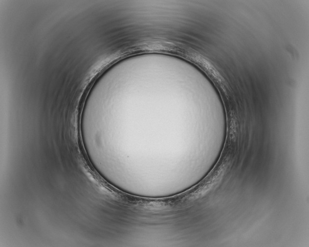 X0000110910986200907091433