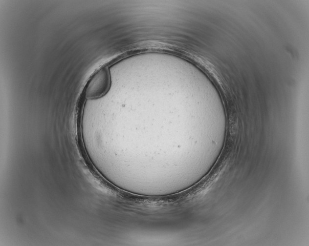 X0000110910987200907091433