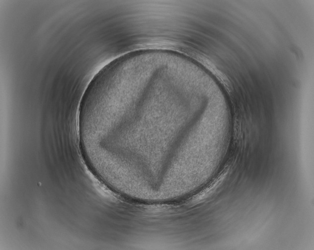 X0000110910988200907091433