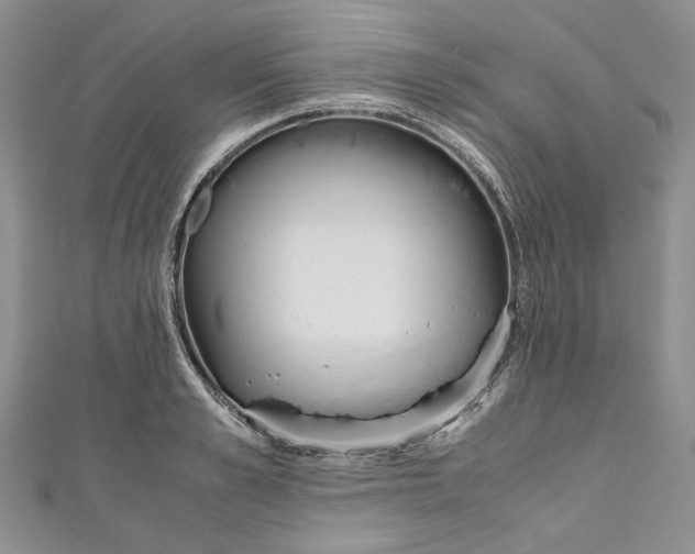 X0000110910989200907091433