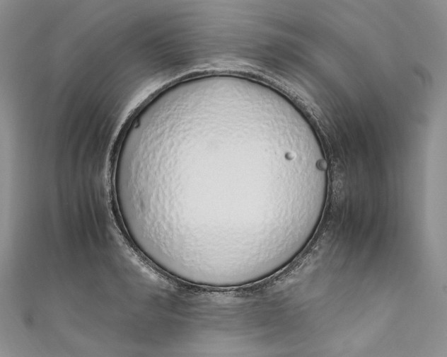 X0000110910990200907091433