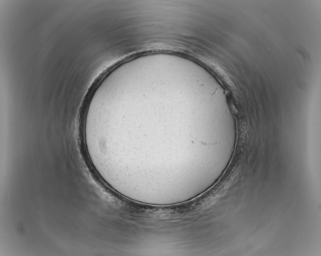 X0000110910991200907091433