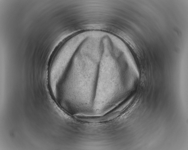 X0000110910992200907091433