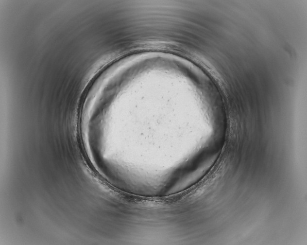 X0000110910994200907091433