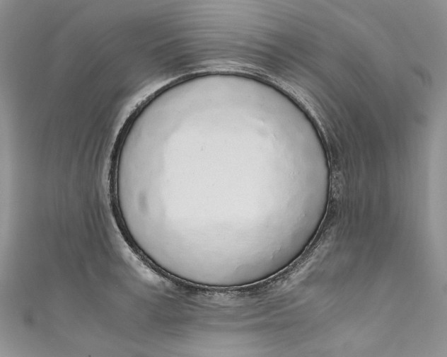 X0000110910995200907091433