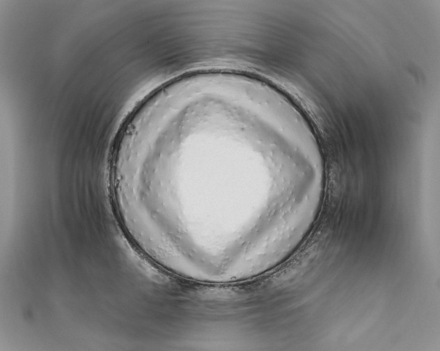 X0000110910998200907091433