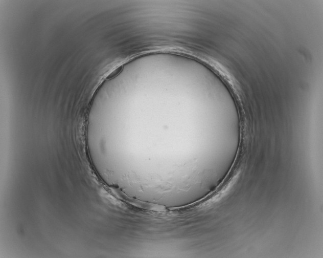 X0000110911001200907091432