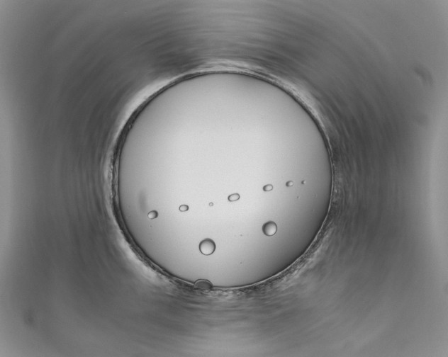 X0000110911003200907091432