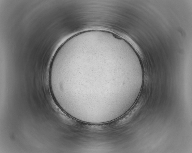 X0000110911004200907091432