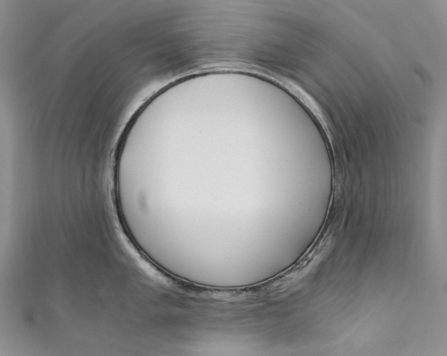 X0000110911005200907091432