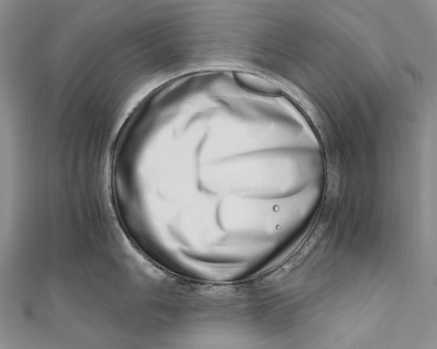 X0000110911006200907091432