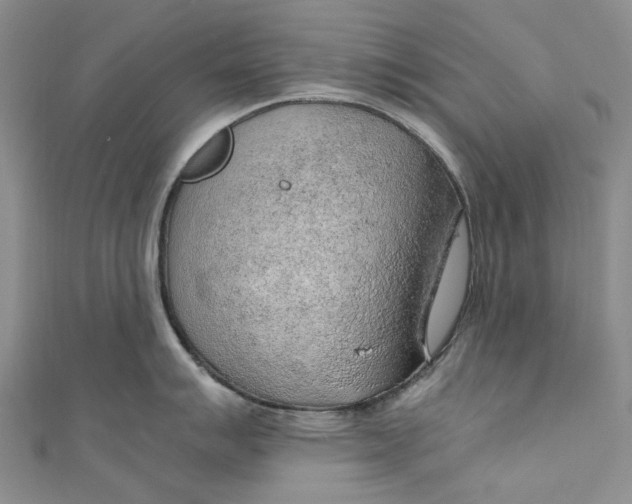 X0000110911007200907091432