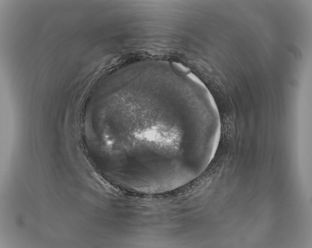 X0000110911009200907091432