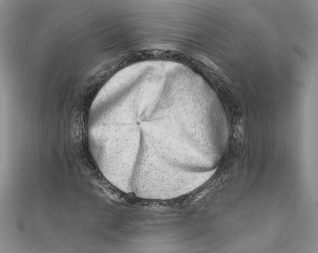 X0000110911014200907091432